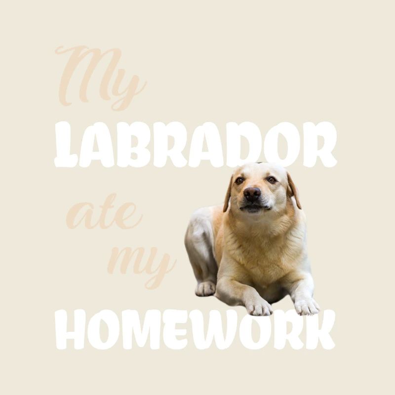 Labrador Homework