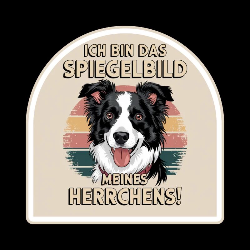Border Collie chien reflet de mon maître