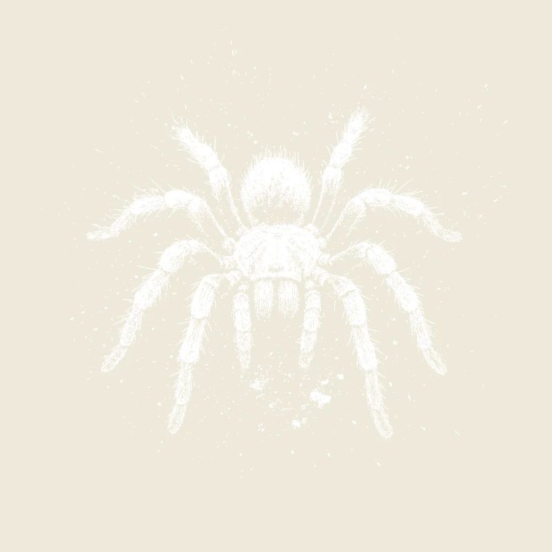 Tarantula