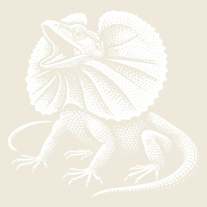 Curled Dragon Lizard