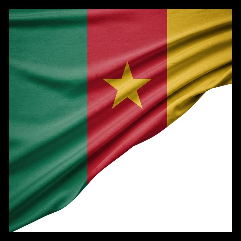 drapeaux du Cameroun