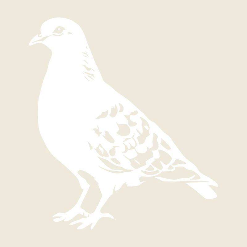 Dessin de colombe