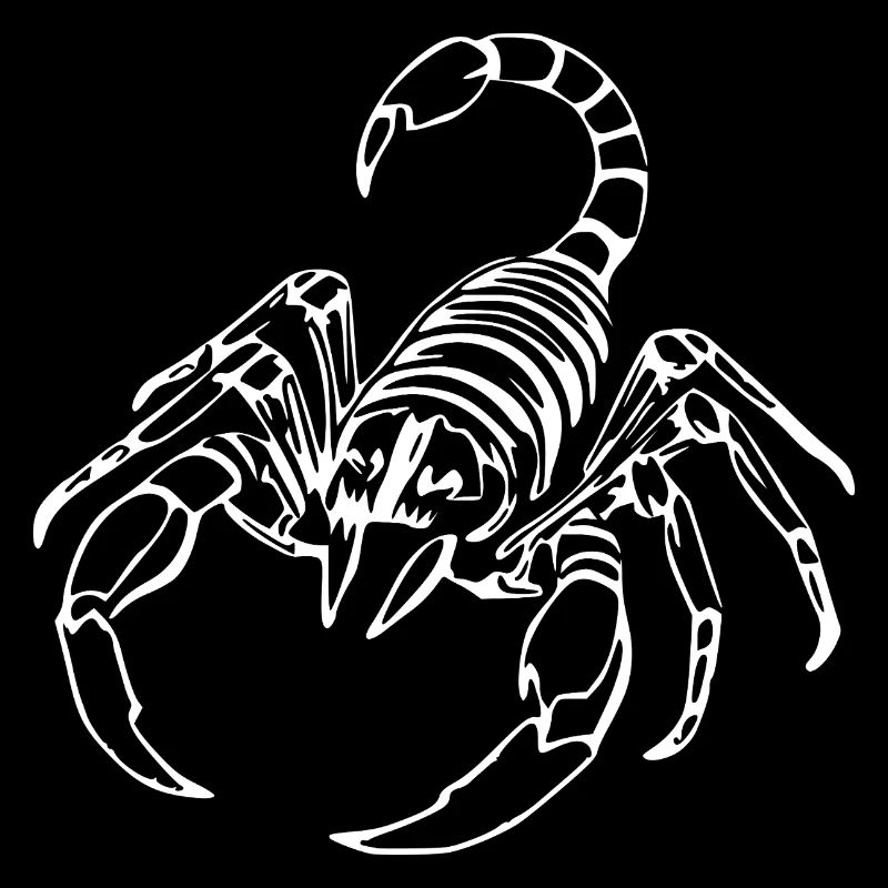 Skorpion Sternzeichen T-shirt