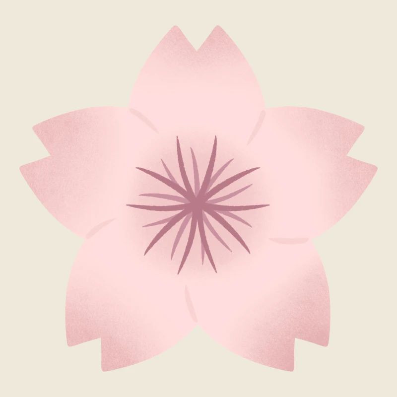Rouge Kirschblüte