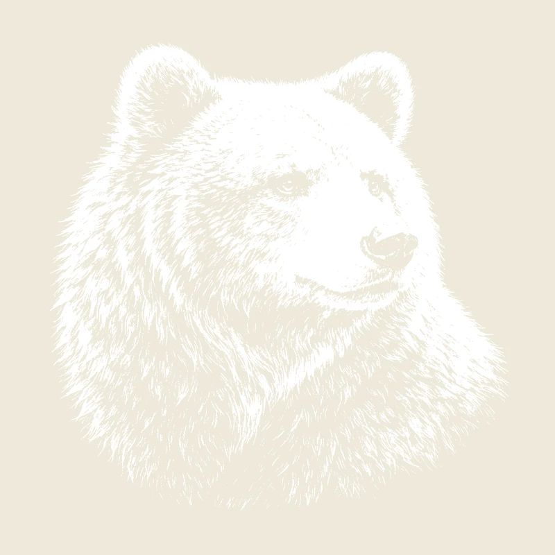 Bear – graphismes réalistes en noir et blanc