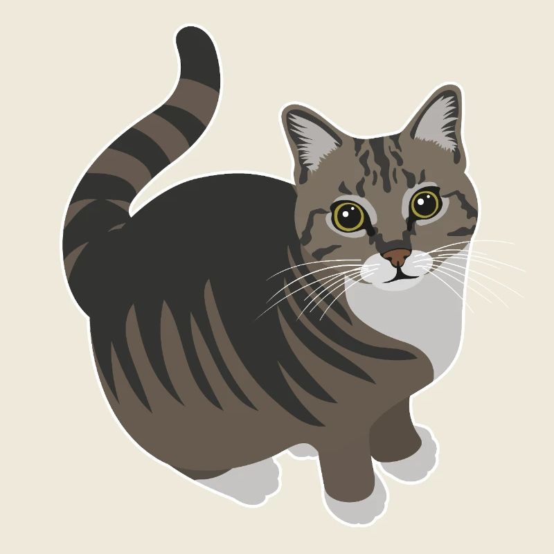 tabby cat with white paws