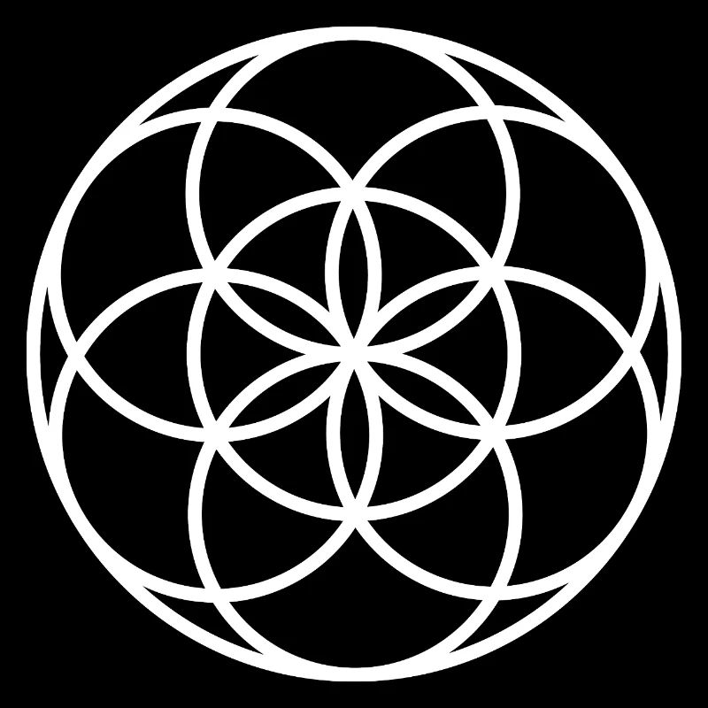 Samen des Lebens – Heilige Geometrie
