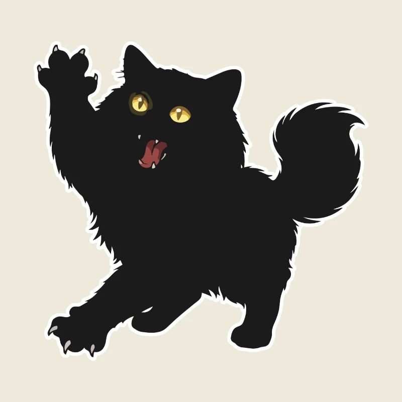 Black Kitten Fluffy Long Haired Fun Portrait