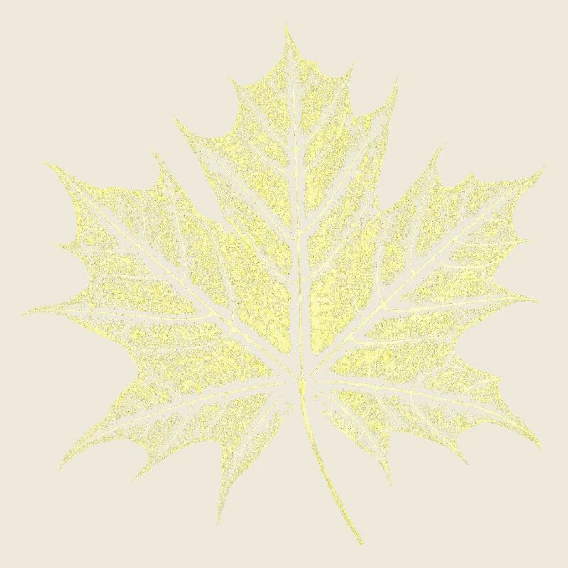 Maple Leaf / Botany - Natural