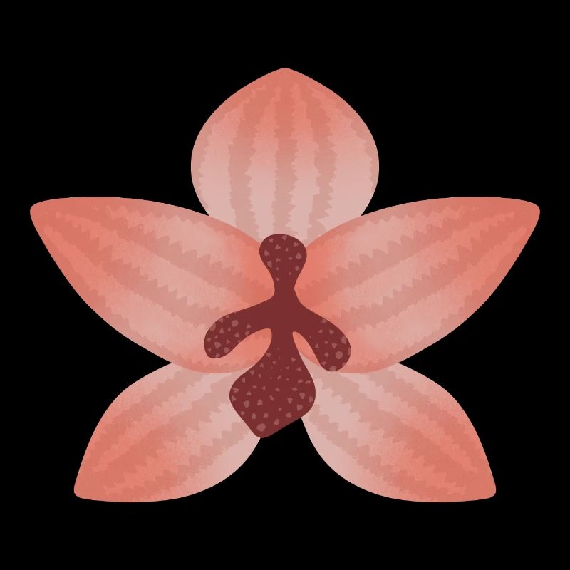 Fleur d’orchidée pastel