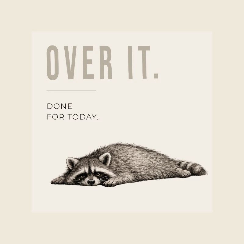 Mème Over It Raccoon