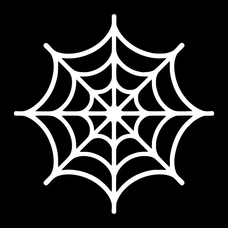 Spinnennetz Spinne