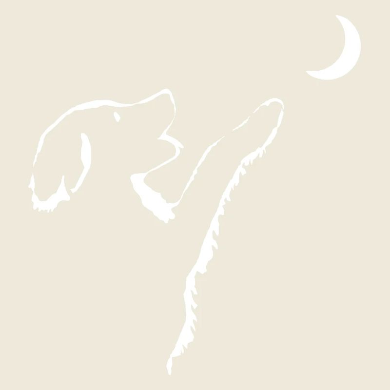 Chien regarde la lune