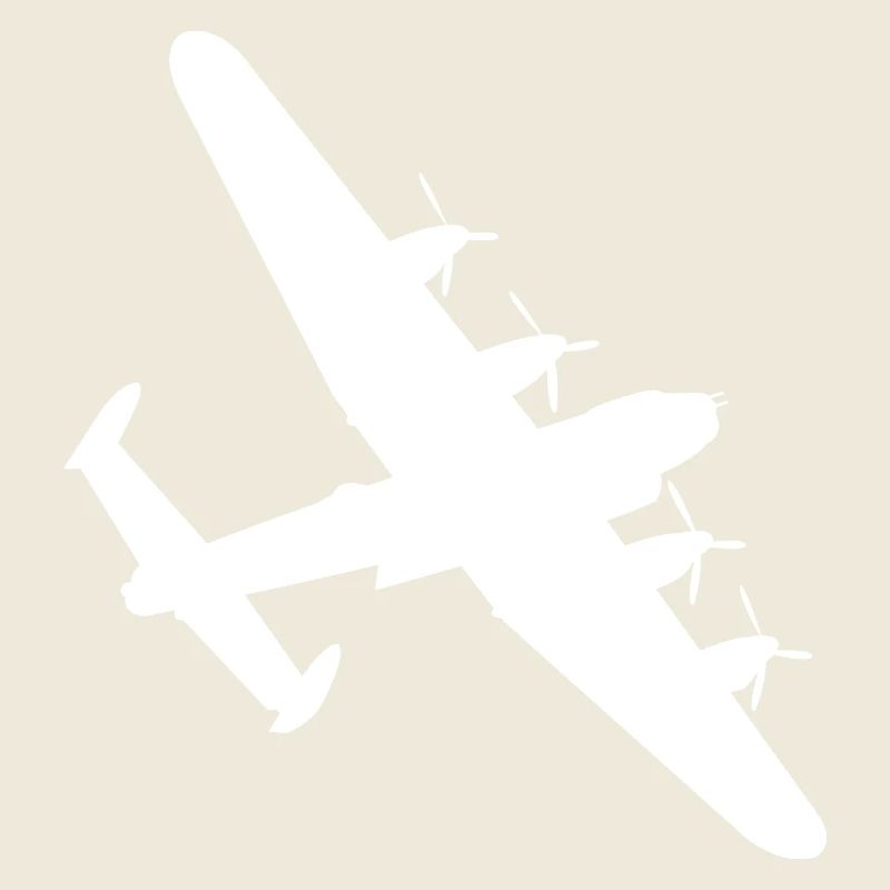 Bomber Flugzeug