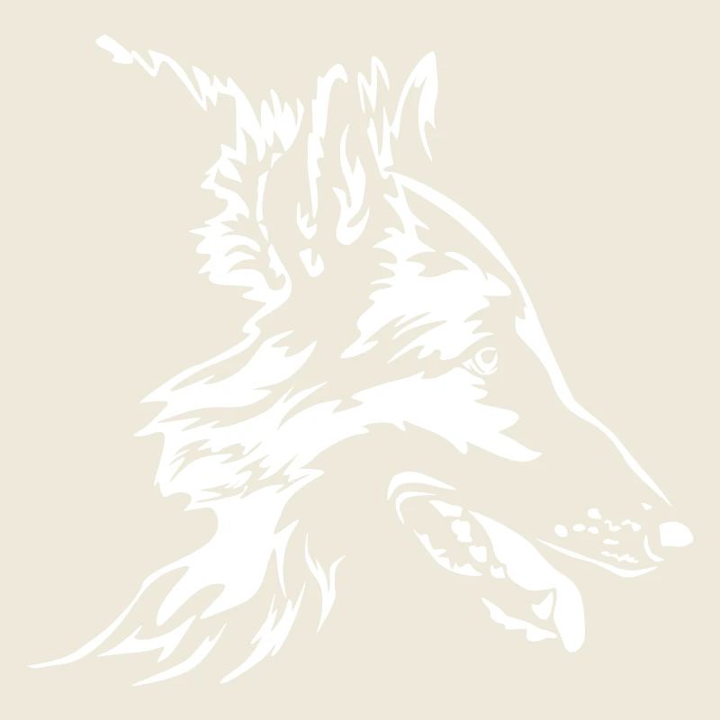 Tête tervuren « Black Edition »