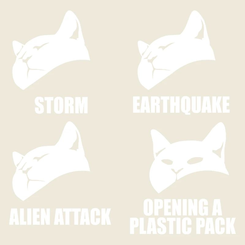 Chat - perception sélective - dire