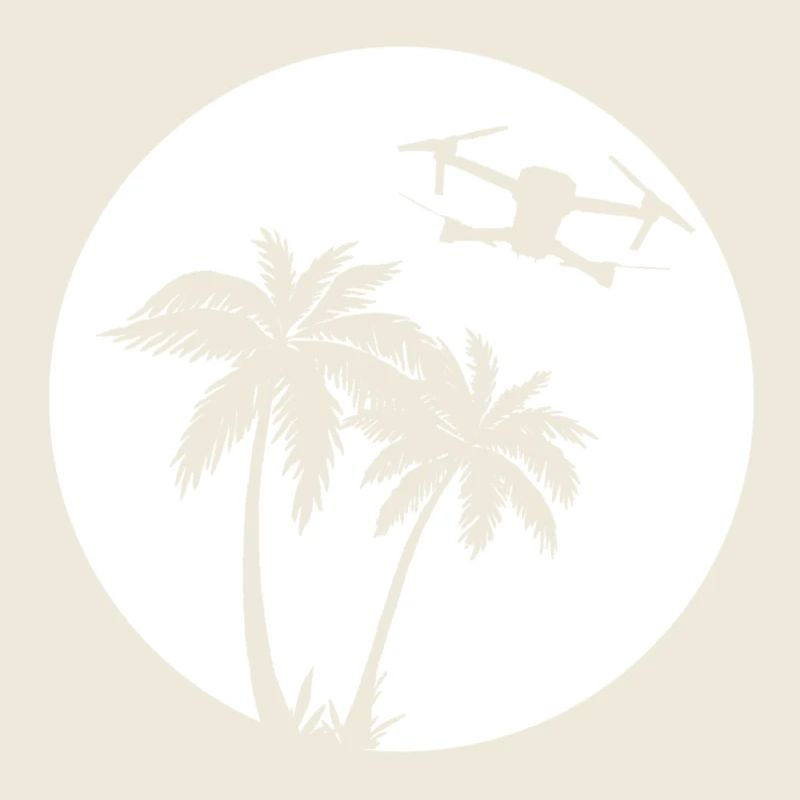 DJI MAVIC PRO DRONE Palmier Soleil