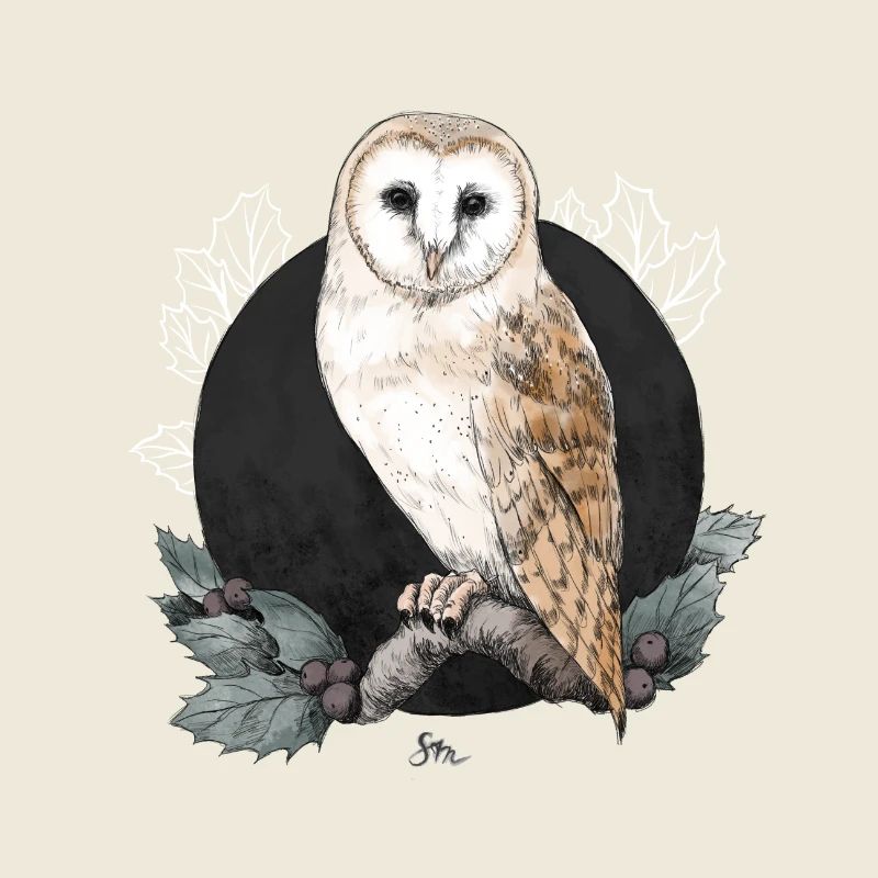 Barn owl before new moon