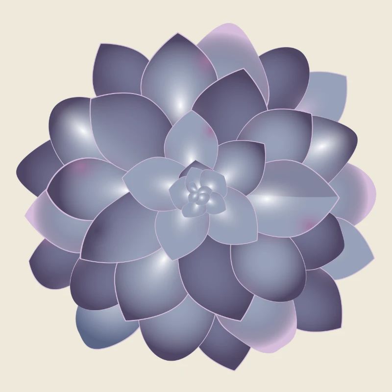 wunderschöne Sukkulenten Blüte in zarten Farben