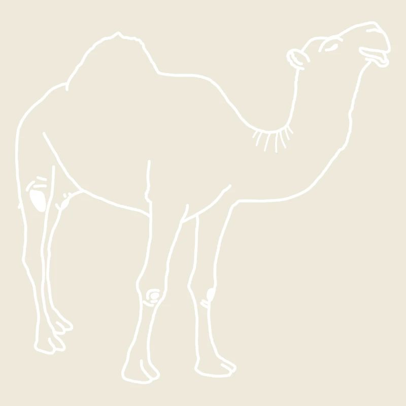 Dromedary lineart