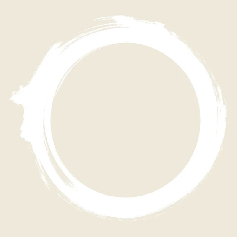 Black Hole Universe Silhouette Minimal Physics