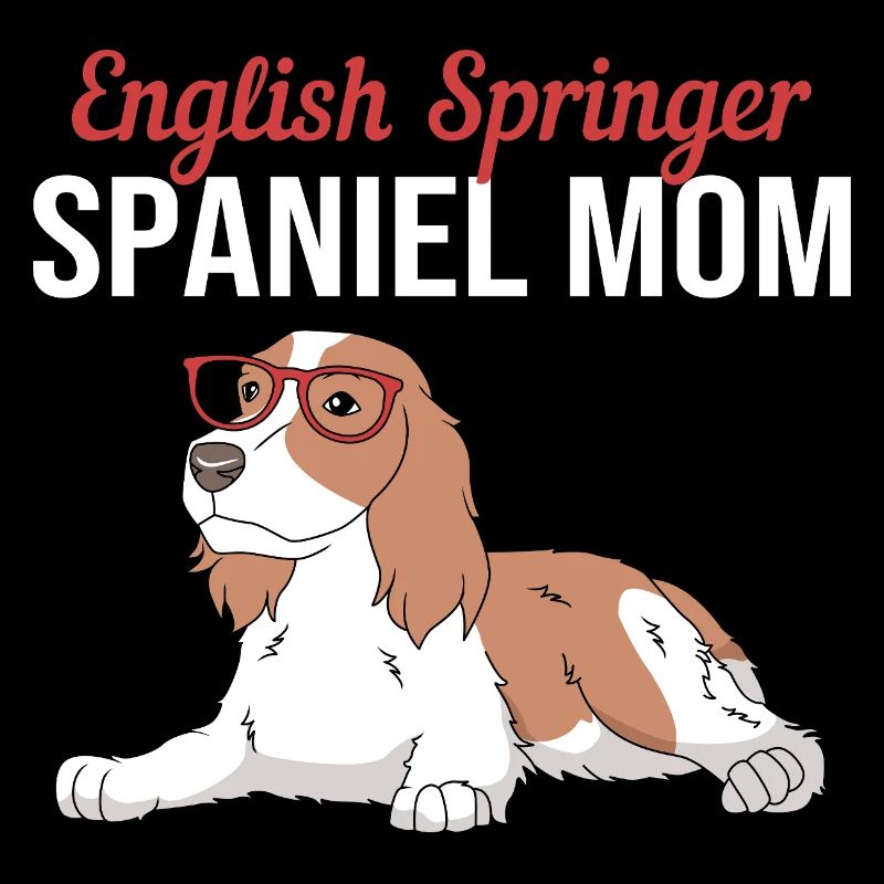 Springer Spaniel Hund