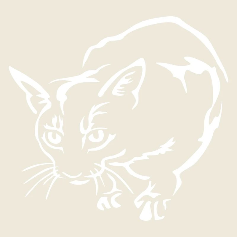 Abessiner Katze "Black Edition"