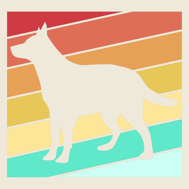 Bouvier australien chien