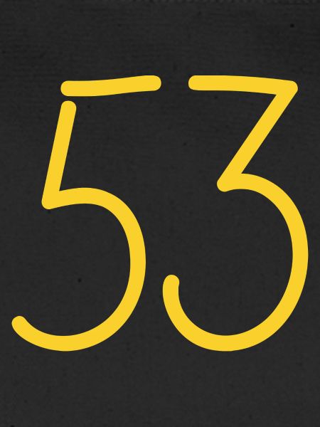 53