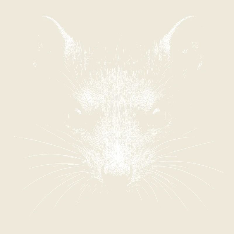 Ratte