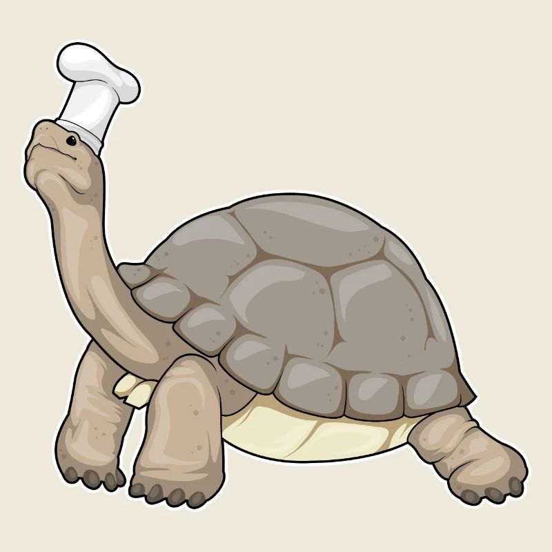 Chef Tortue Chef Chef Cuisson du chapeau