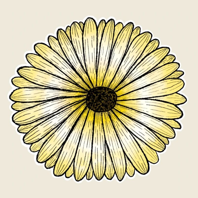 Gelbes Gänseblümchen