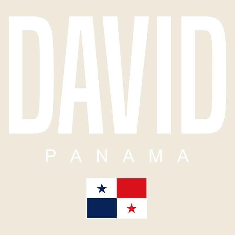 David Panama Panamaer