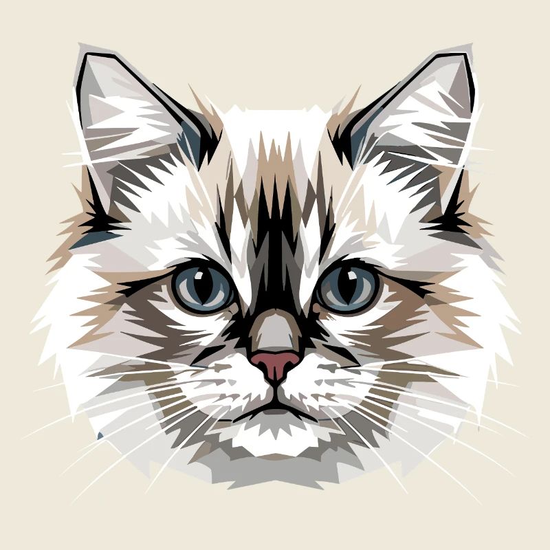 Ragdoll Chat Ragdoll Chat Mignons Chats Ragdoll