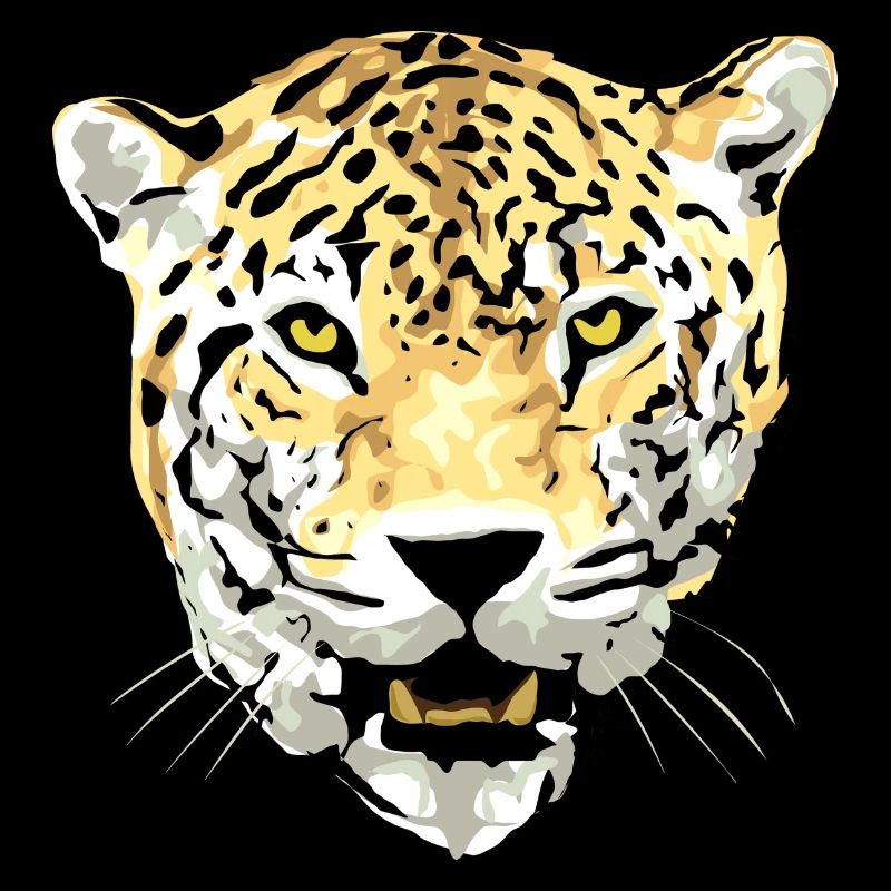 guépard chat ocelot léopard jaguar, guépard wildcat29