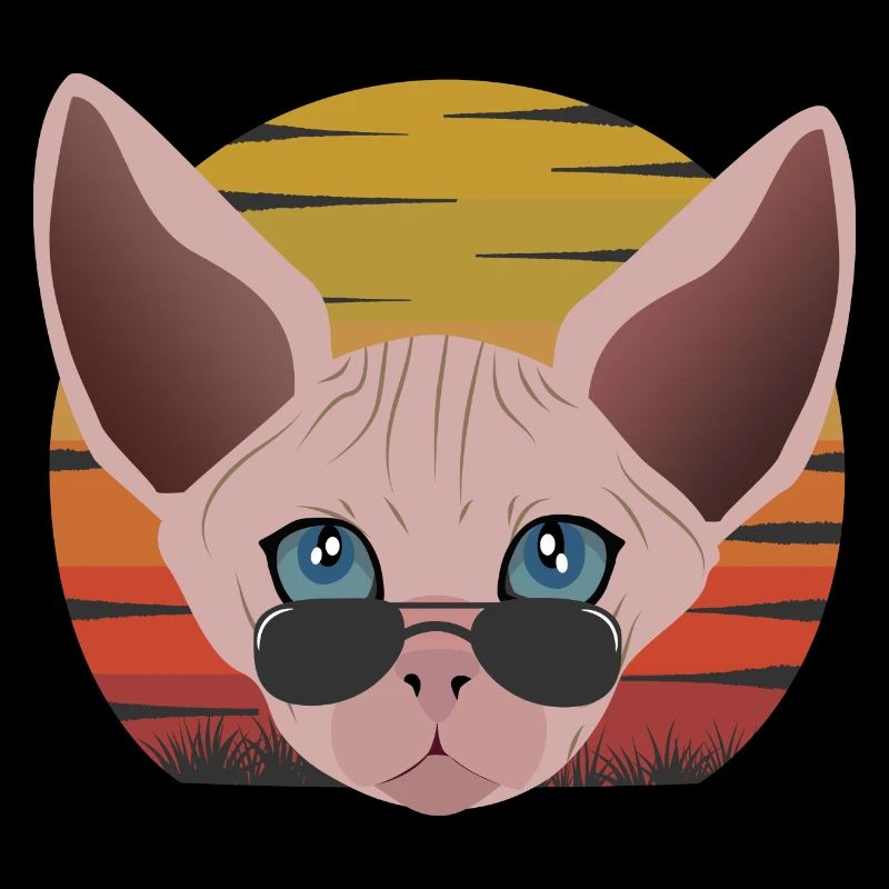 sphinx cat sunset