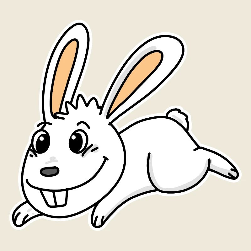 Cute Bunny Illustration Rabbit White