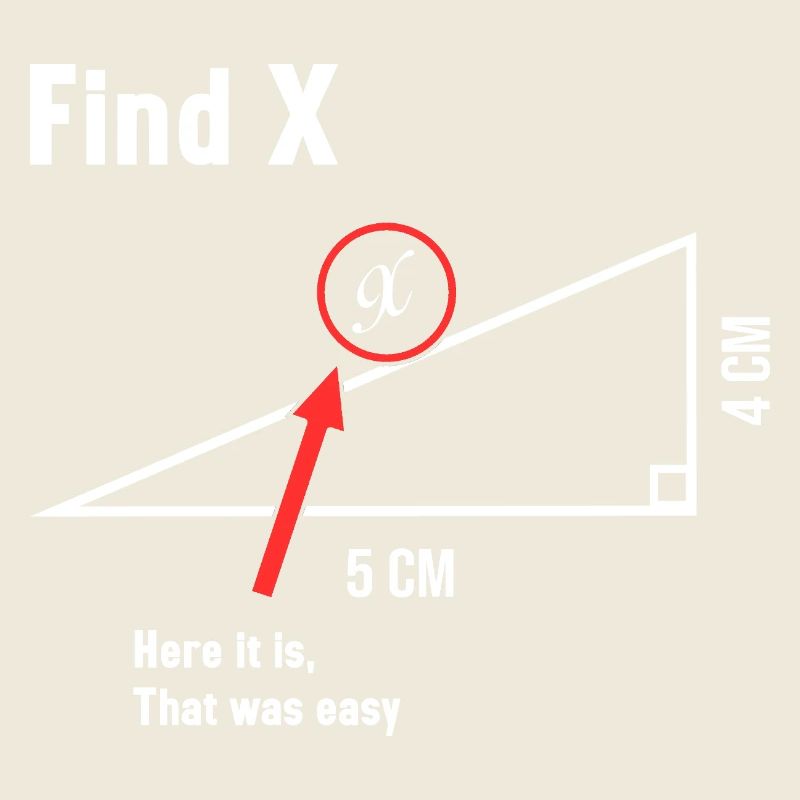 Find X Math Lover Mathematician Math Teacher