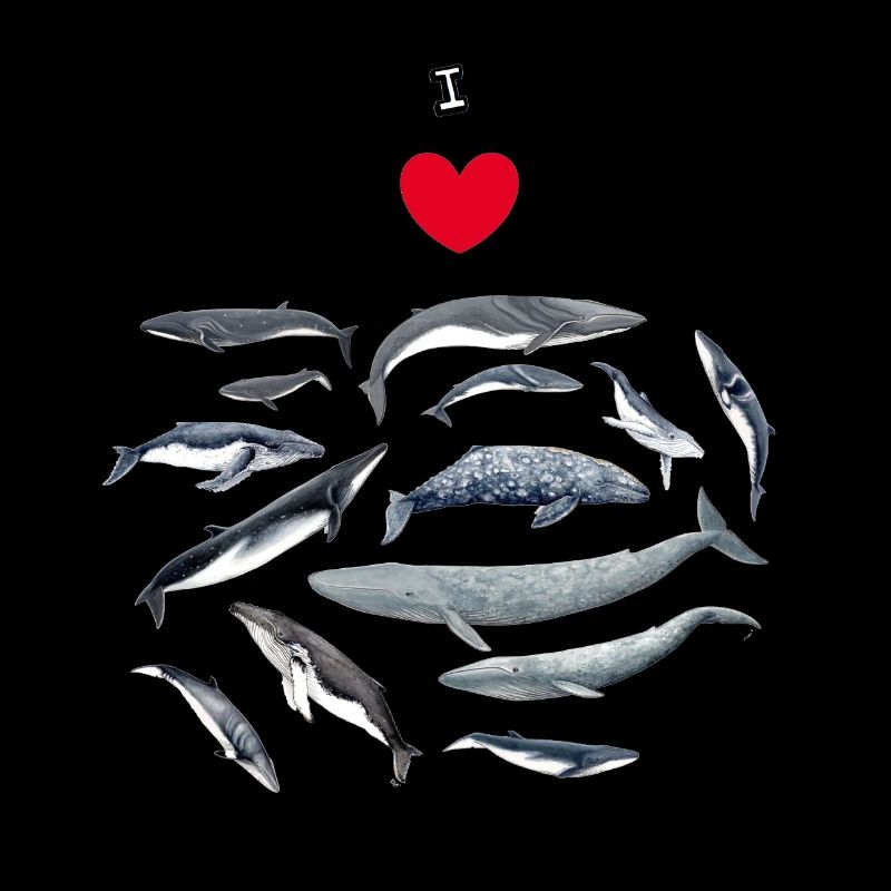 Les baleines aiment - J'adore les baleines - Baleines