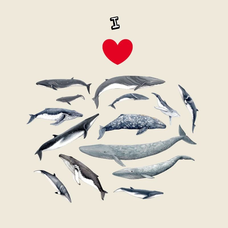 Les baleines aiment - J'adore les baleines - Baleines