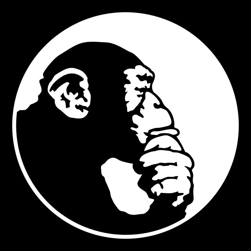 chimpanzee