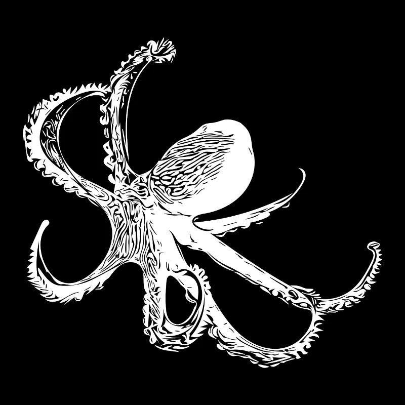 Pieuvre - Poulpe