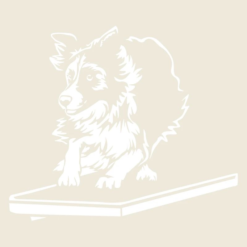 Border Collie « Black Edition »