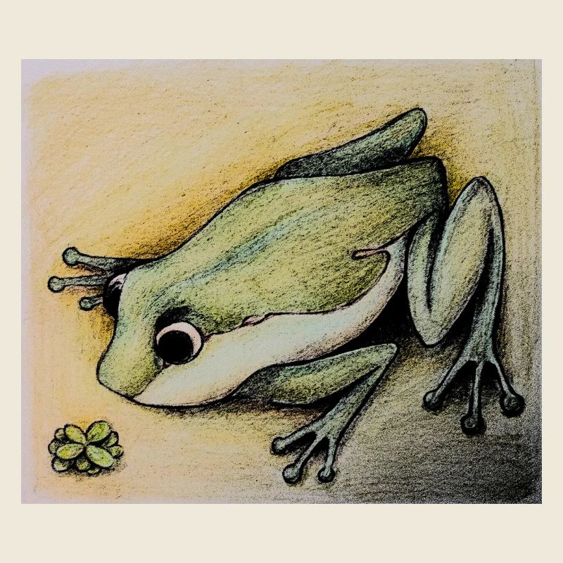 frog