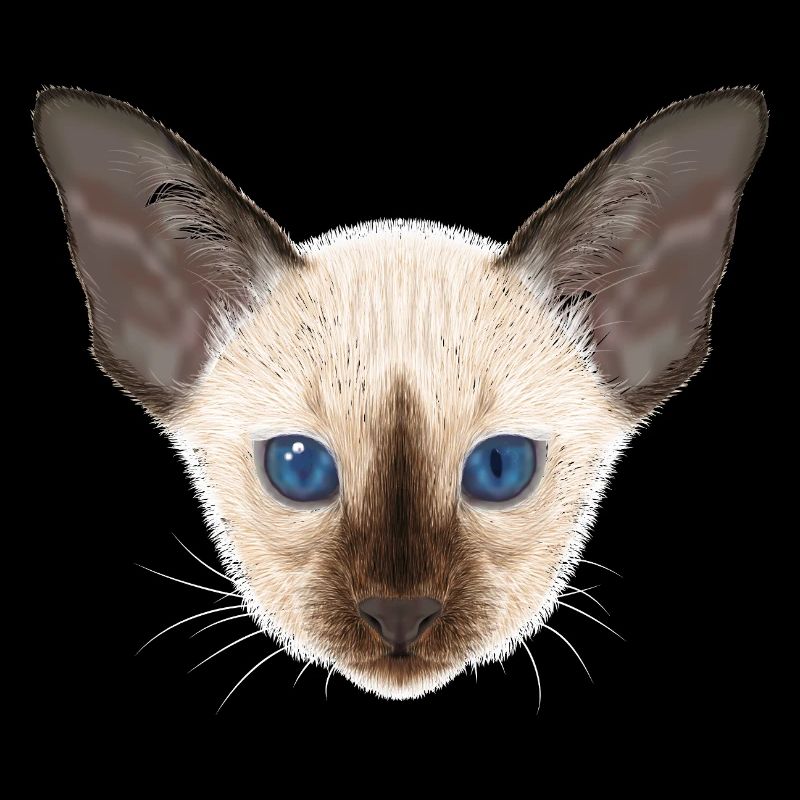 Siamkatze