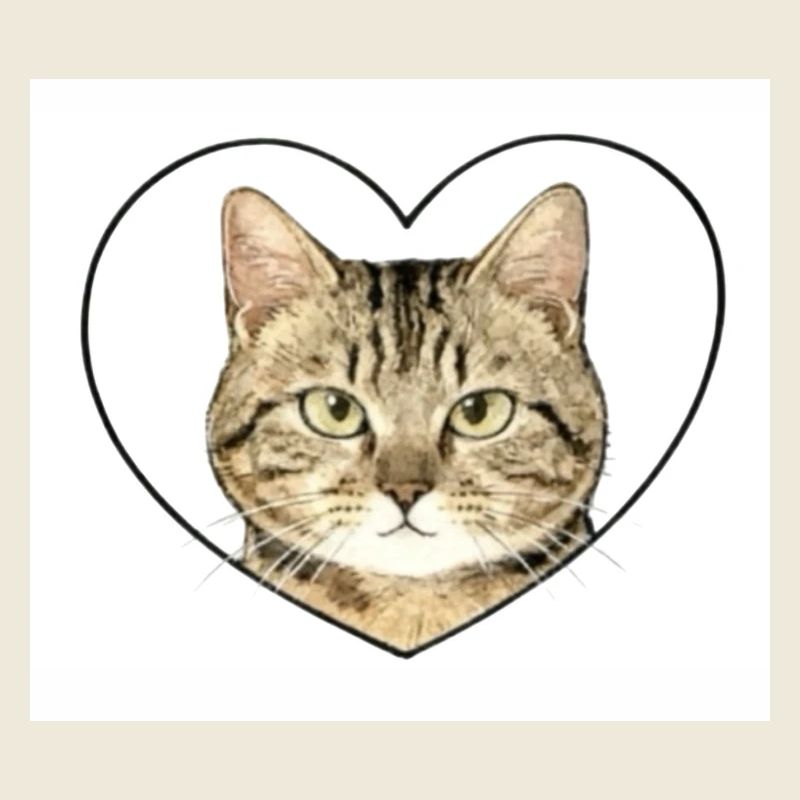 Cœur felin : portrait chat