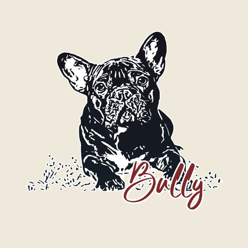 Bully - Bouledogue français mignon