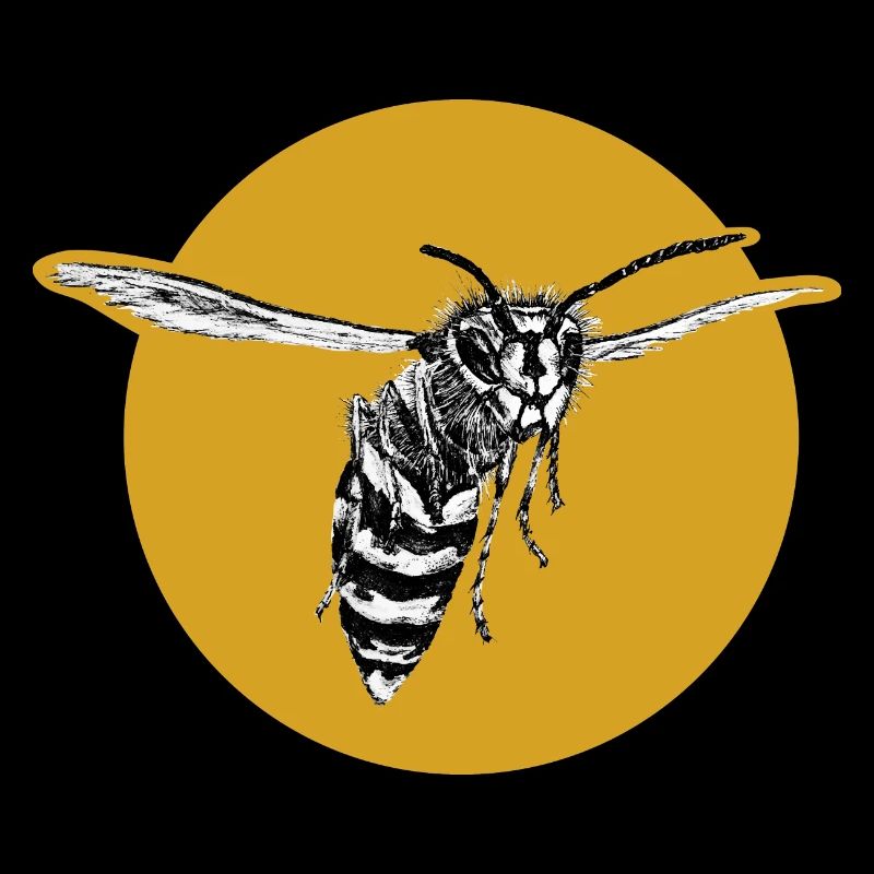 Wasp - Bee - Insect