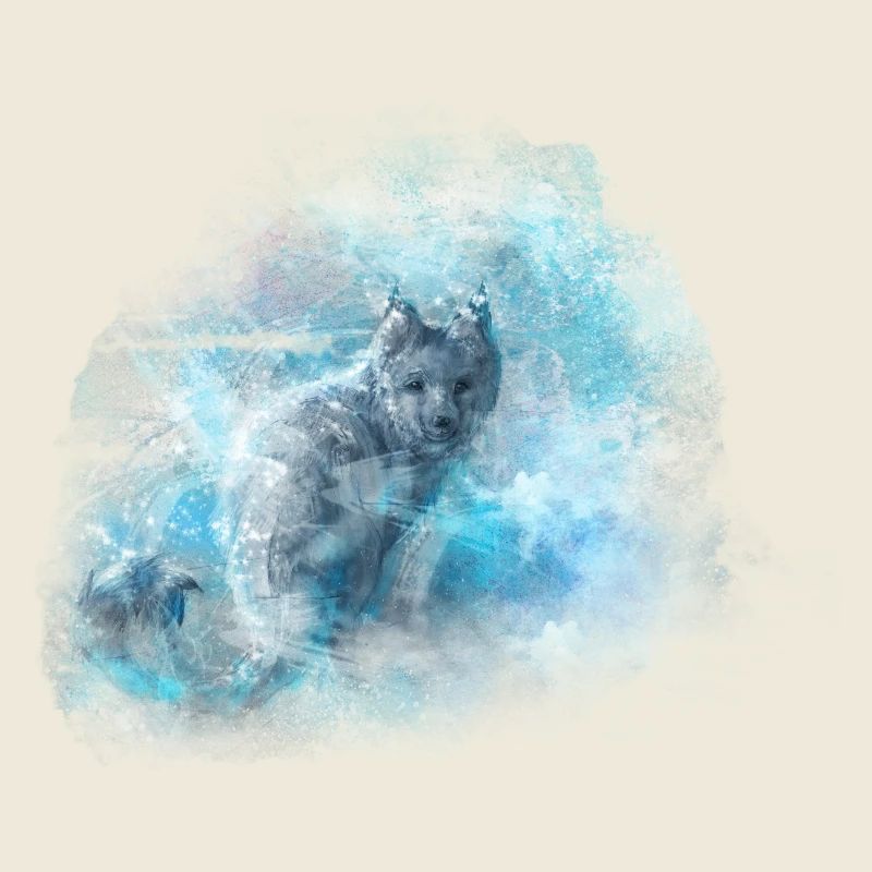 Der Eis Fuchs