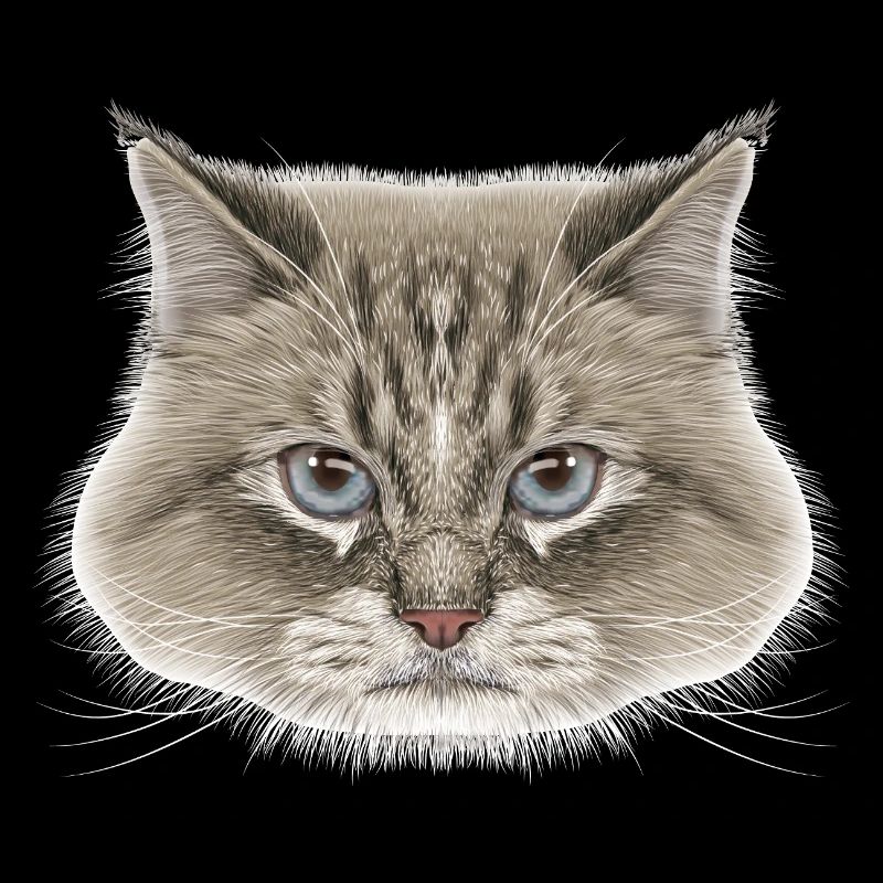 Siberian Cat